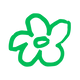 flower illustration